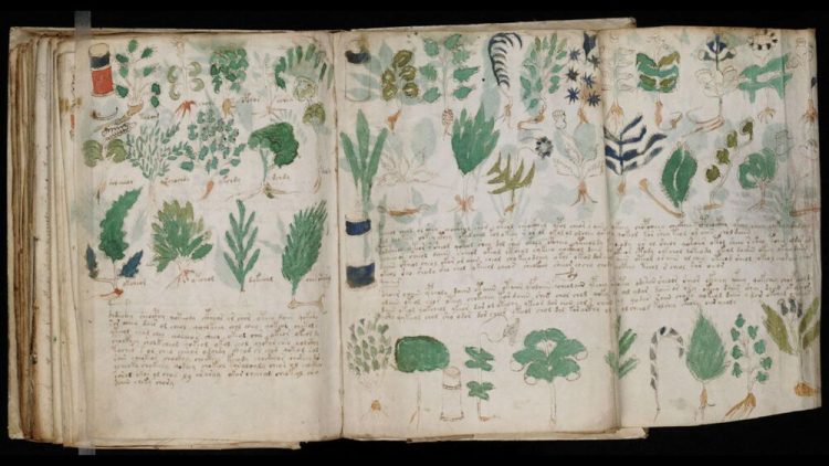 Manuscrisul Voynich ar fi putut fi scris cu ajutorul unui cifru medieval, potrivit unui nou studiu