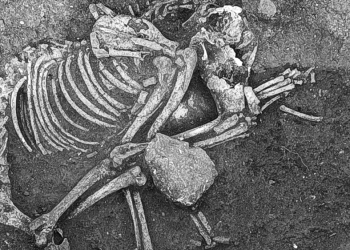 Oase provenite de la un animal consumat de traci, acum 2.500 de ani, descoperite în Bulgaria