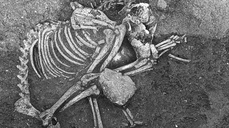 Oase provenite de la un animal consumat de traci, acum 2.500 de ani, descoperite în Bulgaria