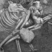 Oase provenite de la un animal consumat de traci, acum 2.500 de ani, descoperite în Bulgaria