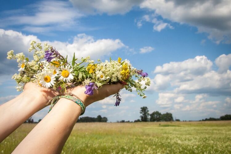 DRĂGAICELE, zânele bune ale câmpurilor și vegetației, sărbătorite pe 24 iunie