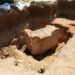 Sarcofag roman intact, cea mai importantă descoperire a ultimilor ani, din Croația