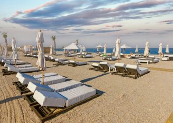 Ghid practic de marketing digital pentru operatorii HORECA, lansat de OMD Mamaia Constanța