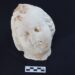 Cap de marmură al lui Eros și podele de mozaic, descoperite în Pompeiopolis, în Turcia