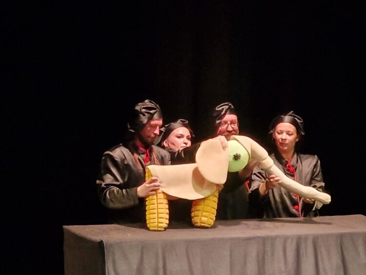 S-a dezlănțuit magia la Teatrul pentru copii