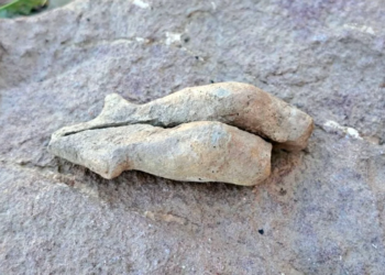 Statuetă feminină, veche de 6.500 de ani, descoperită în Transilvania